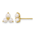 14k Polished Freshwater Cultured Pearls Post Earrings